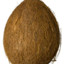 coco nut