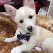 一分钟内亲不到修狗我将引爆地球！