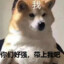 LUYUE