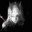 V_V