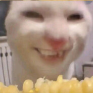 叫我艾露迪克男爵😡