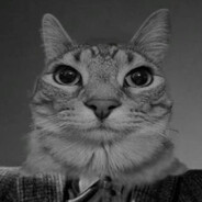 Zbyszek "El Czapo" Ziemkiewicz