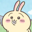 Usagi