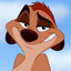Timon