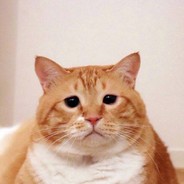 宇宙第一小可爱