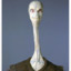 Yarael Poof