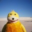 OIZO