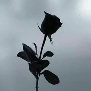 正在设置中........