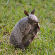 narze - steam id 76561199564884327