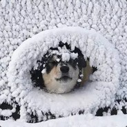 靠脸吃饭的李大王