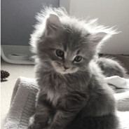 non depression day 154