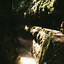 Luce