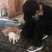 没事就是爱摆烂