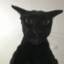 Peenar Snipper Cat