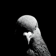 Xx_SuperSigma69_xX