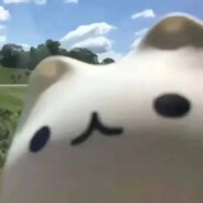 你看你喵了个咪呢