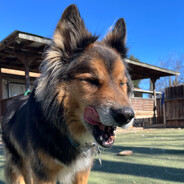 shbo0m - steam id 76561199859437629