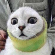 祝眉目舒展 顺问冬安