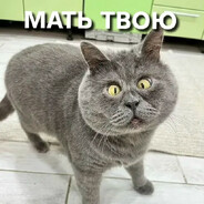 АЛЬХАМ ДУЛИЛЬАХ