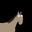 HORSE GRIFFIN