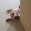 buster_keat0n