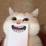 梁山伯与猪硬来