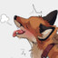 KNOTTY FOX