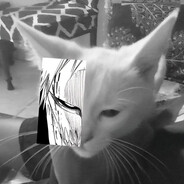 X^