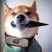 住在山顶甄不错