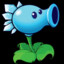 ice pea