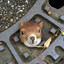 Sewer Squirrel