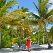 朝暮与年岁并往