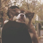 欲将心事散清风