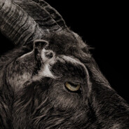 BlackPhillip
