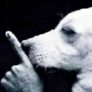 requiem of my own funeral avatar