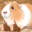 Guinea pig with thumbs