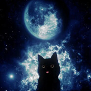 Moon Cat