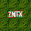 znTx