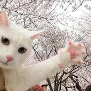 OBE Hammond W.Rockefeller Jr II.