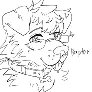 Raptor