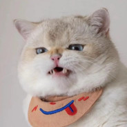 𝙇𝙐𝙄𝙍𝙯𝙮