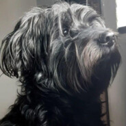Ruffles
