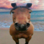 horse