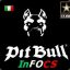 Pitbull_InFOCS