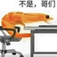逮虾户