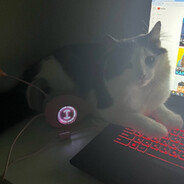 tR1cky - steam id 76561199858875959