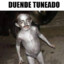 duende tuneado