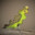 GreenBudgie