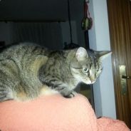 ☜☣☞[o.W.n]DUPSTEP LOvE