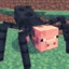 minzxk
